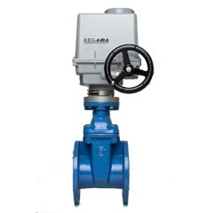 GATE VALVE WITH ELECTRIC ACTUATOR PN16 (F4)